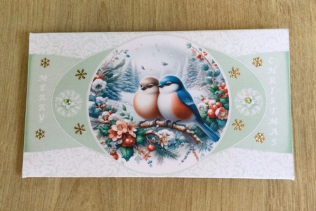 Winter birds money wallet (Sage). by Honorscard Appleby