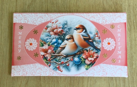 Winter birds money wallet (Salmon). by Honorscard Appleby