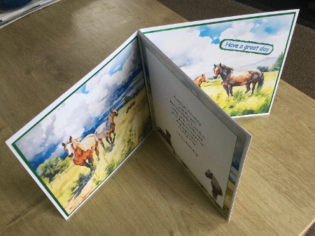 4 x Horses in a Meadow Images Bundle (4096px x 4096px, 300dpi, PNG files) by Honorscard Appleby