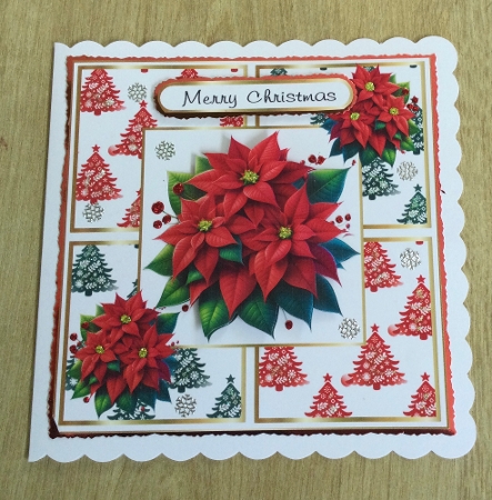 poinsettias by Honorscard Appleby