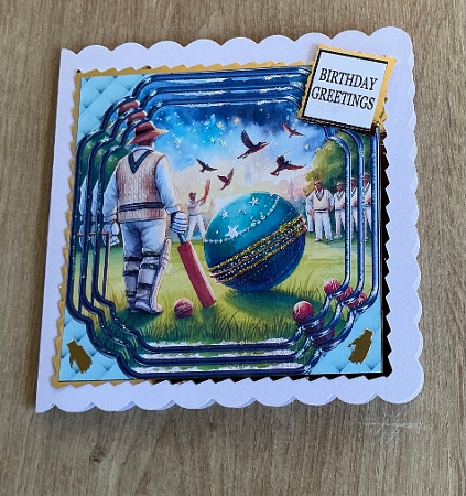 CRICKET BIRTHDAY by Honorscard Appleby