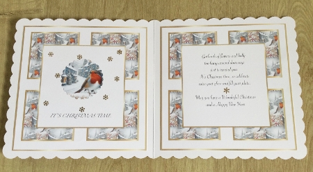 framed robin 1 insert by Honorscard Appleby