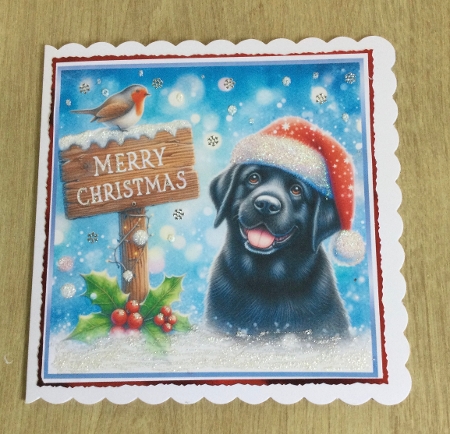 blue christmas black labrador by Honorscard Appleby