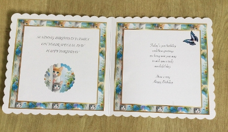 cats insert by Honorscard Appleby