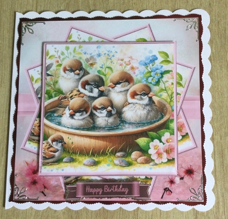 Bathing Birds (2) Featured Gallery Photo