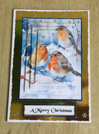  Lovely Robins In The Snow Pyramids (ONE) by Honorscard Appleby