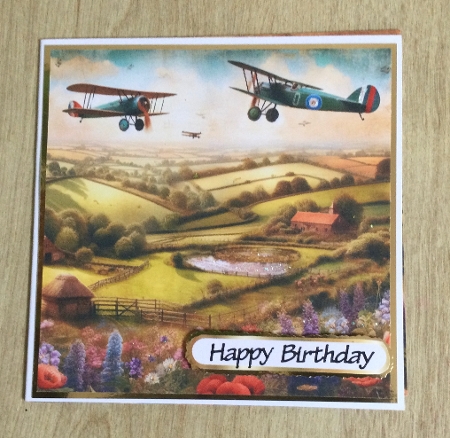 Vintage Planes  by Honorscard Appleby