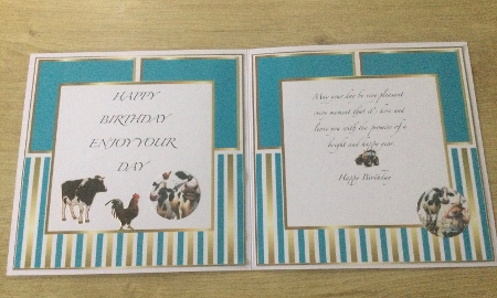 we herd its your birthday insert by Honorscard Appleby
