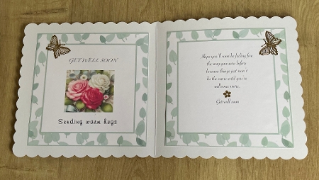 green gingham get well insert blank by Honorscard Appleby