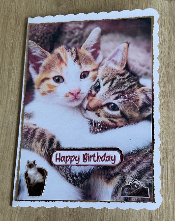 EW A4 Kitten 01 by Honorscard Appleby
