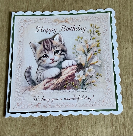 birthday cat by Honorscard Appleby
