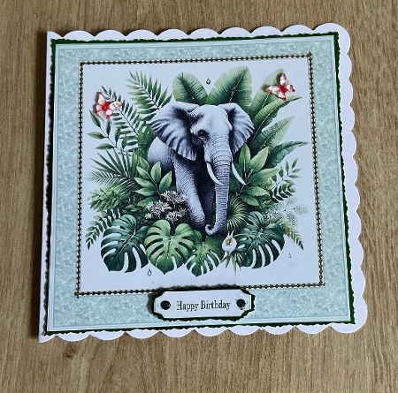 8 x 8 elephant quick card front. by Honorscard Appleby