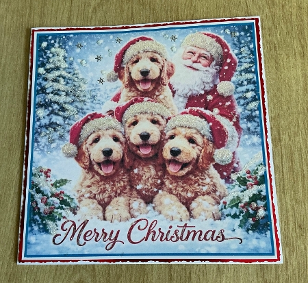 santa and cockapoos by Honorscard Appleby