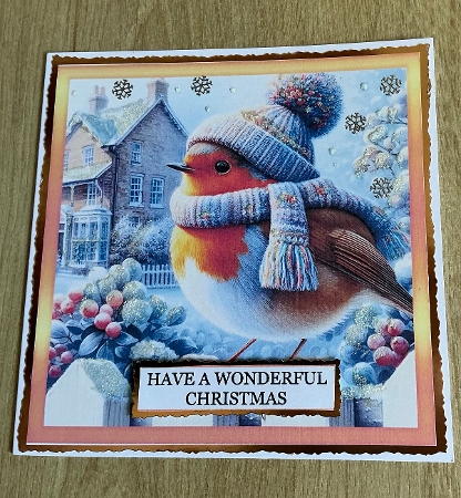 CHRISTMAS ROBIN 6A by Honorscard Appleby
