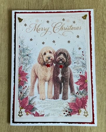 more christmas dogs 1 cockapoos by Honorscard Appleby