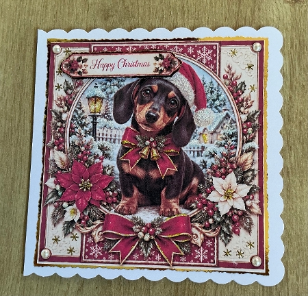 Festive Daschund 1 Christmas -Quick Card Front with Sentiments  by Honorscard Appleby