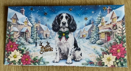 Christmas Wish —  Money Wallet Springer spaniel  by Honorscard Appleby