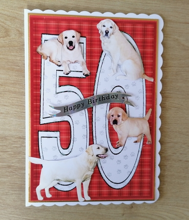 Golden Labrador 50th Birthday Card by Honorscard Appleby