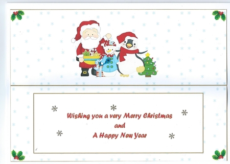 Having Fun at Christmas Large Dl Insert by Honorscard Appleby