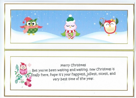 Large Dl Christmas Owl Insert 2 by Honorscard Appleby