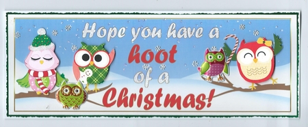Have a 'hoot' of a Christmas Dl Card Front by Honorscard Appleby