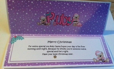 Large Dl Xmas Ruby Livvy Bear Insert by Honorscard Appleby