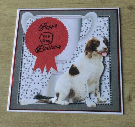 Springer Spaniel Trophy & Rosette 8x8 Card by Honorscard Appleby