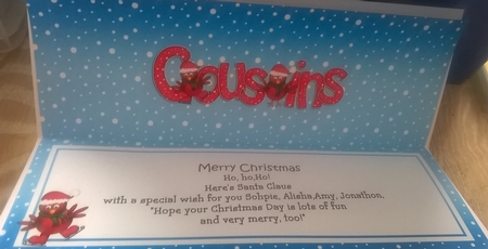 Large Dl Christmas Cousins Robins Insert by Honorscard Appleby