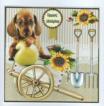 Dog With Apple by Honorscard Appleby