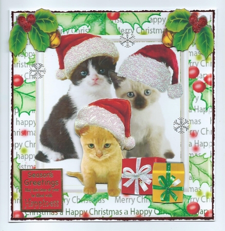 Cute kittens in santa hats with presents, in holly frame 8x8 by Honorscard Appleby