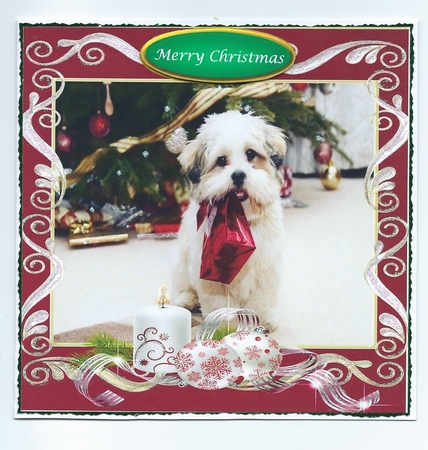 Family Christmas 3 cardfront by Honorscard Appleby