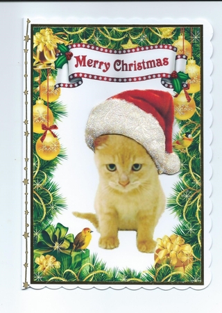 Cute Kitty in santa hat with little robin A4 by Honorscard Appleby