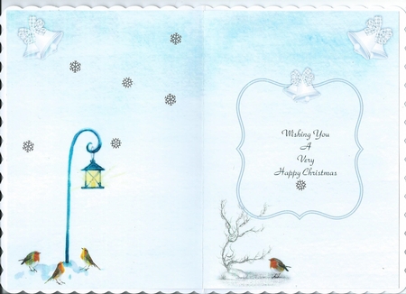Christmas Robins Inert by Honorscard Appleby