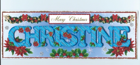 Large DL Poinsettia - CHRISTINE by Honorscard Appleby