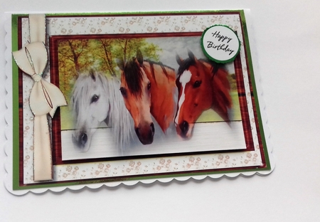 Beautiful Horses at the Fence  by Honorscard Appleby