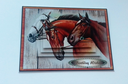Beautiful Horses Head  by Honorscard Appleby