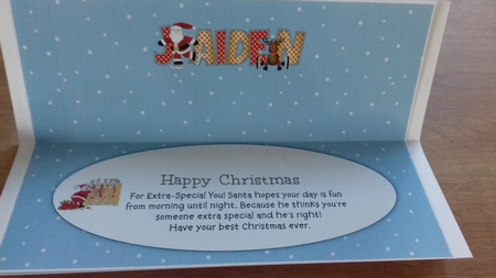 Santa & Rudolf JAIDEN large dl insert by Honorscard Appleby