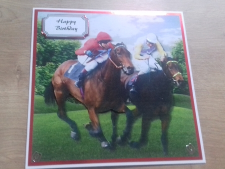 Horse racing by Honorscard Appleby