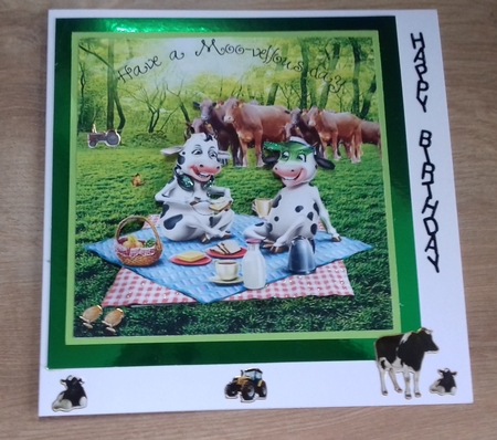 moo-vellous day by Honorscard Appleby
