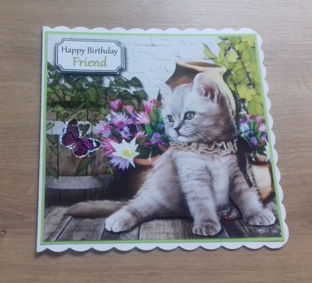 Cute kitten with flowers by Honorscard Appleby