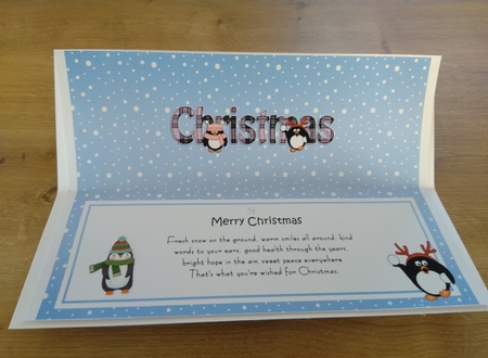 Large DL MERRY CHRISTMAS insert by Honorscard Appleby