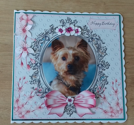 FLORAL YORKIE 1 by Honorscard Appleby