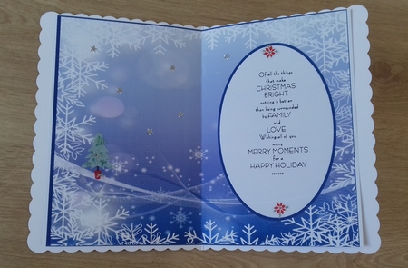 Winter Blue, Snowflakes And Sparkles Insert by Honorscard Appleby