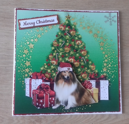 SANTAS BEEN by Honorscard Appleby
