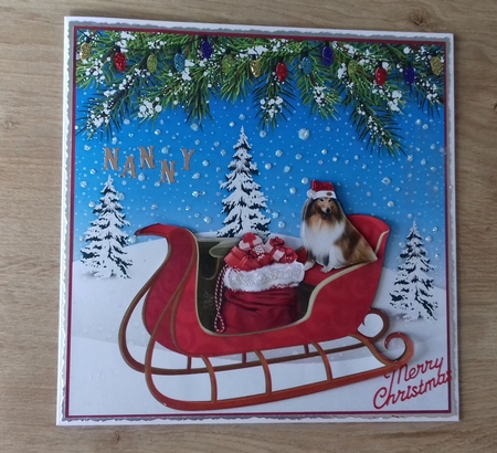 COLLIE ON THE SLEIGH by Honorscard Appleby