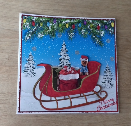 YORKIE ON THE SLEIGH by Honorscard Appleby
