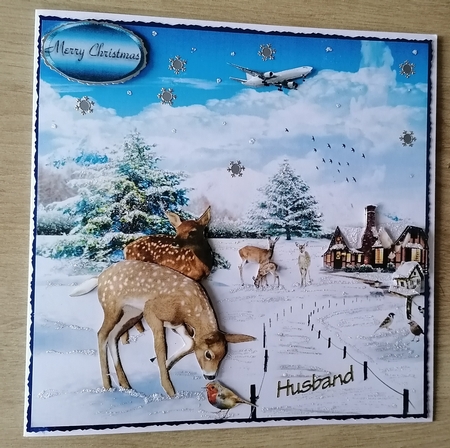 out in the snow  by Honorscard Appleby