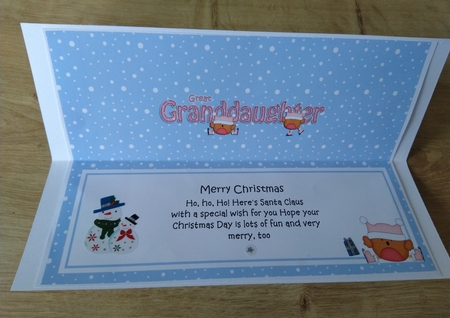 Large DL Merry Christmas GREAT GRANDDAUGHTER insert with Bobbin Robin by Honorscard Appleby