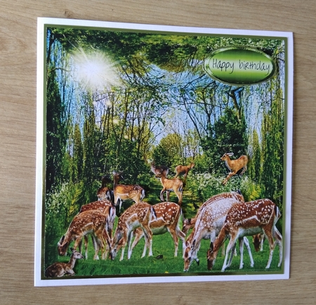 spring deer by Honorscard Appleby