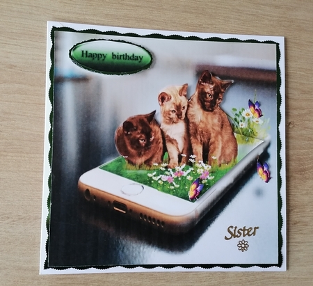 3 kittens by Honorscard Appleby